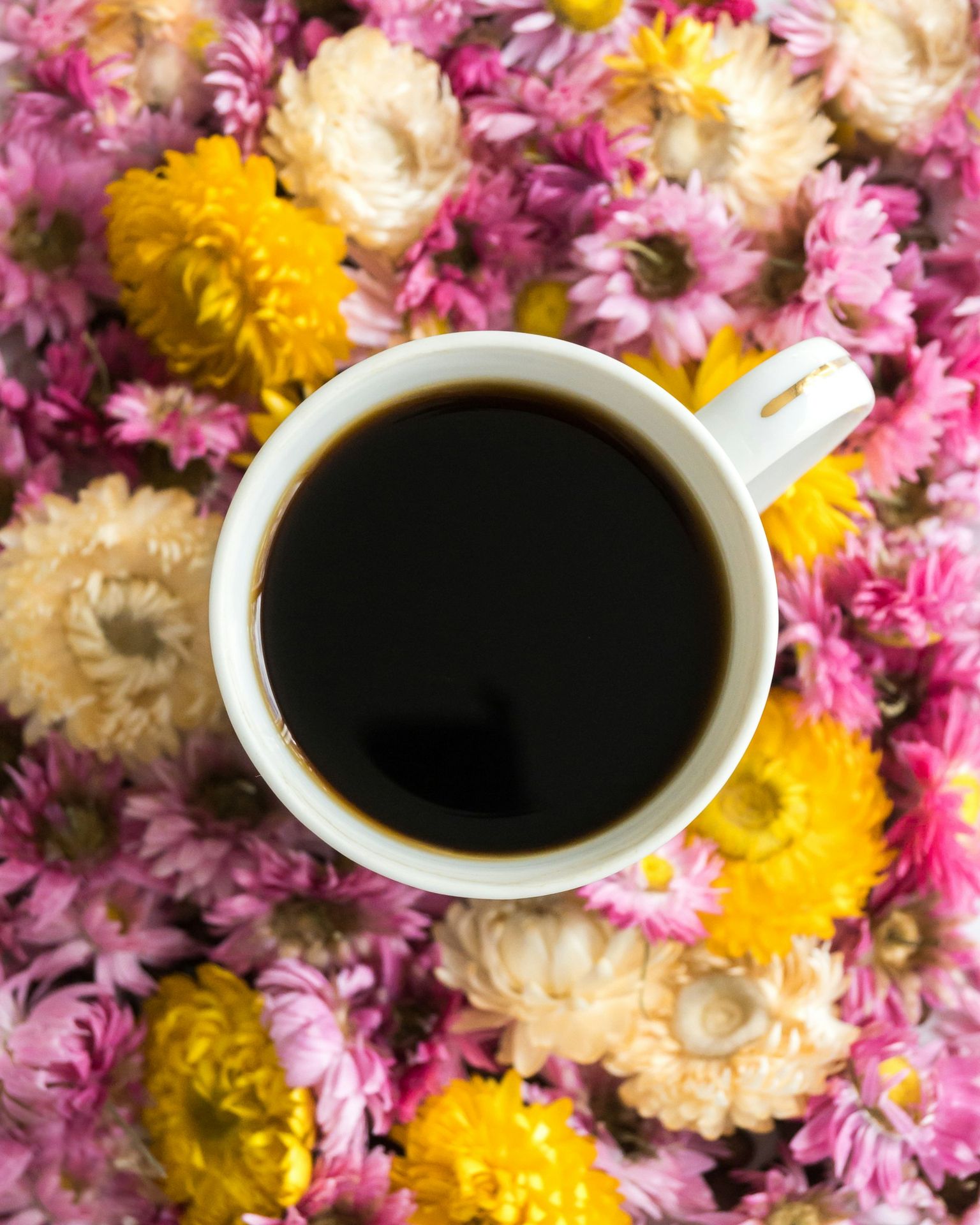 floral infused coffee a cup of coffee sitting on top of a pile of flowers