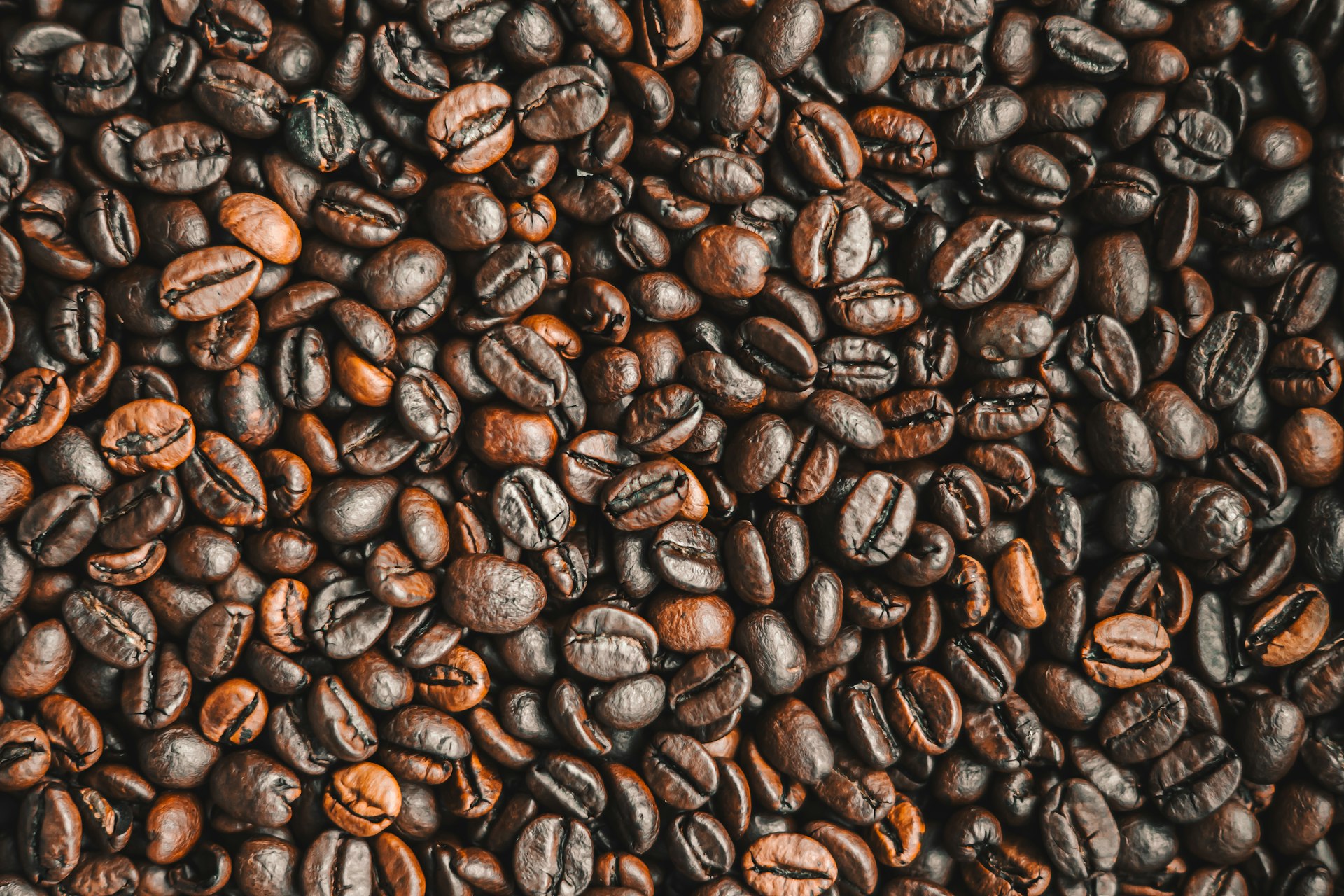 Dark roast coffee beans displaying a deep, dark brown hue with an oily sheen, indicating a bold and intense flavor.