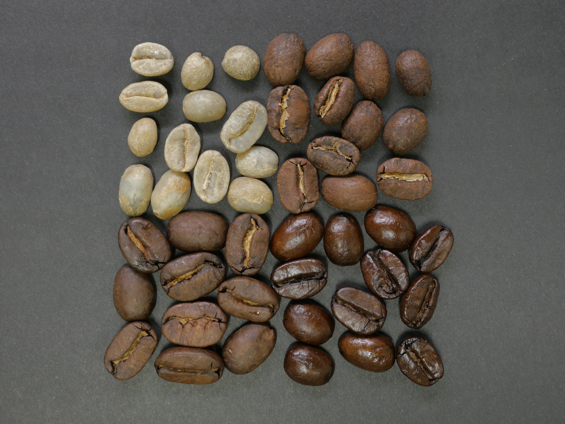 Types of coffee bean roasts displayed 