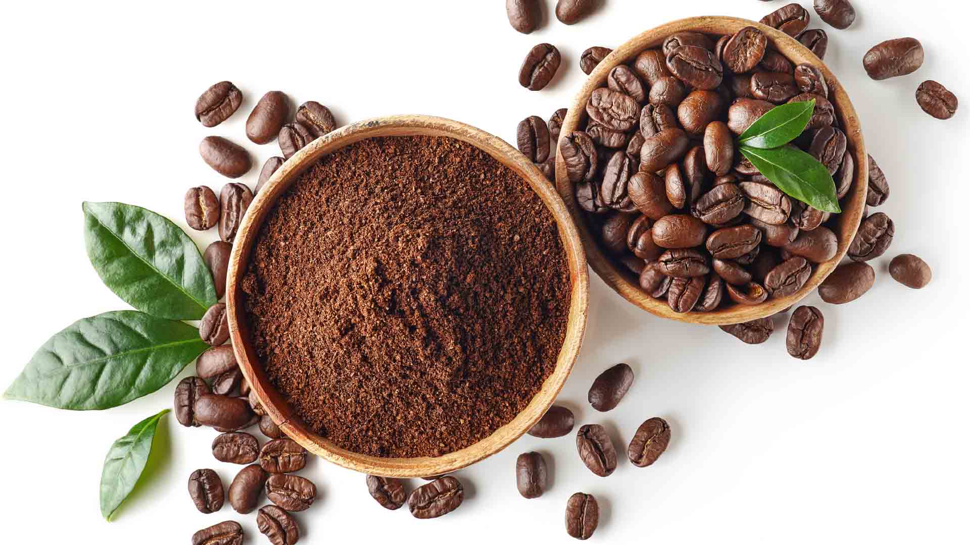 An image shows two bows, one with freshly ground coffee and the other with roasted coffee beans with coffee tree leaves on top.
