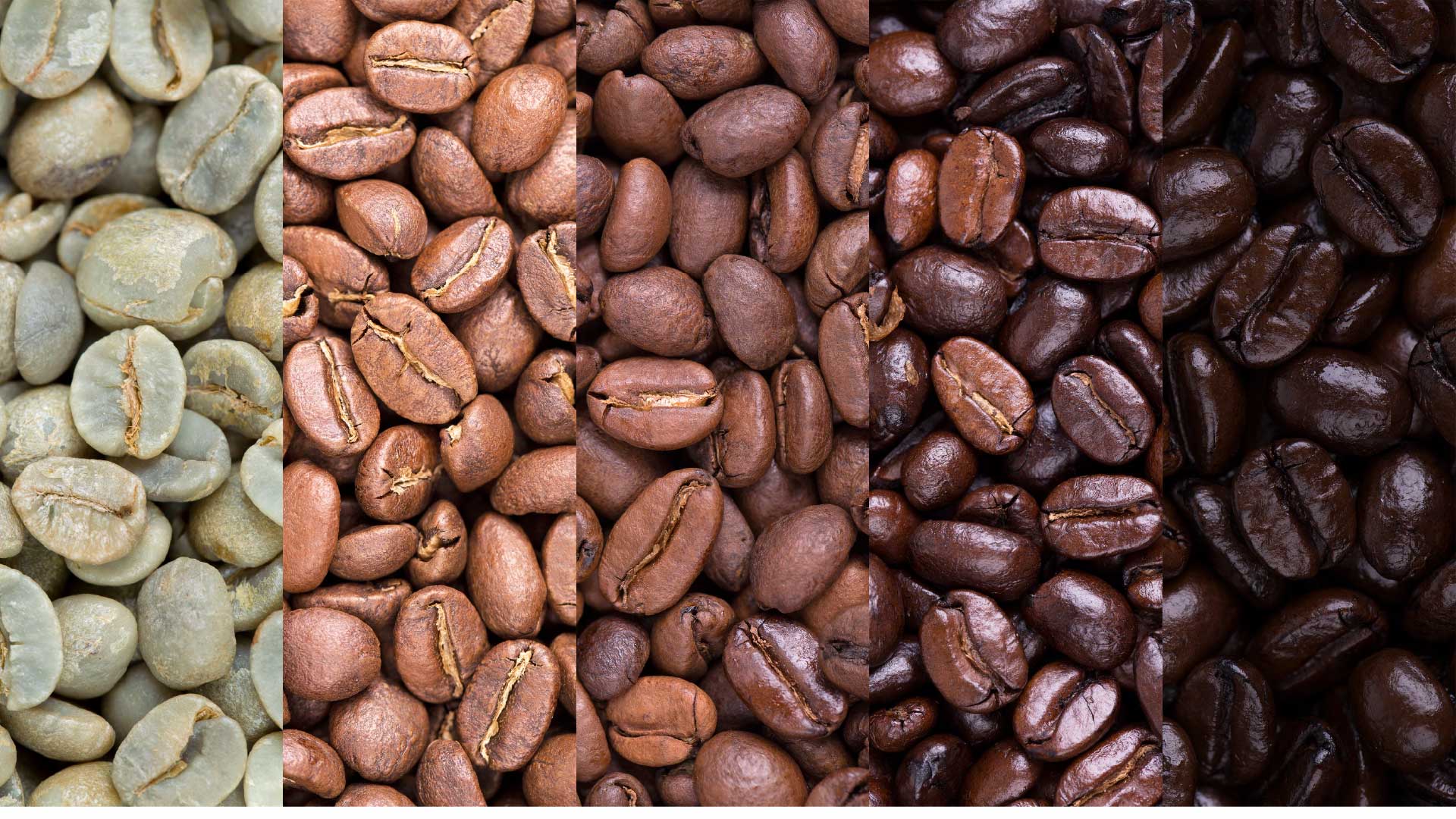 Different levels of Coffee beans roasting to determine coffee acidity.
