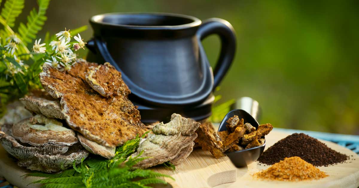 An image displays mushrooms, coffee grounds, and sweeteners beside a coffee pot, all set up for brewing mushroom coffee.