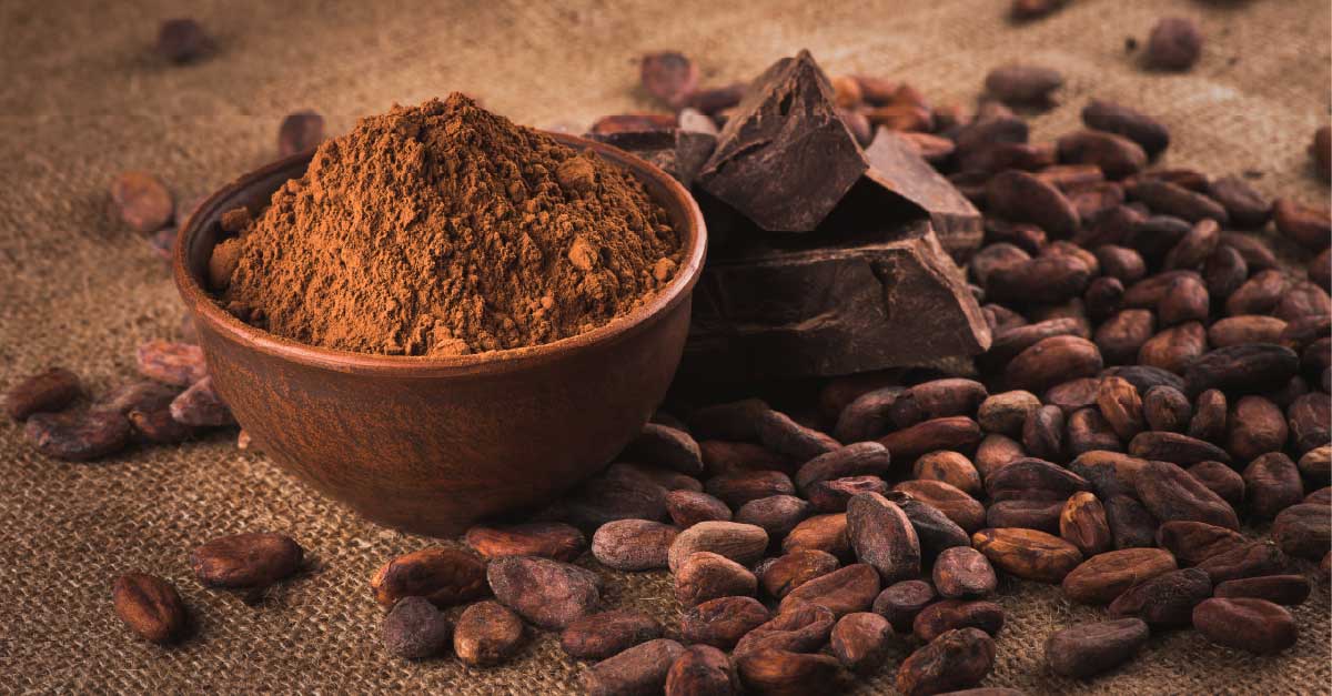 An image shows a bowl of cocoa powder, roasted cacao beans, and cocoa bars on the surface.