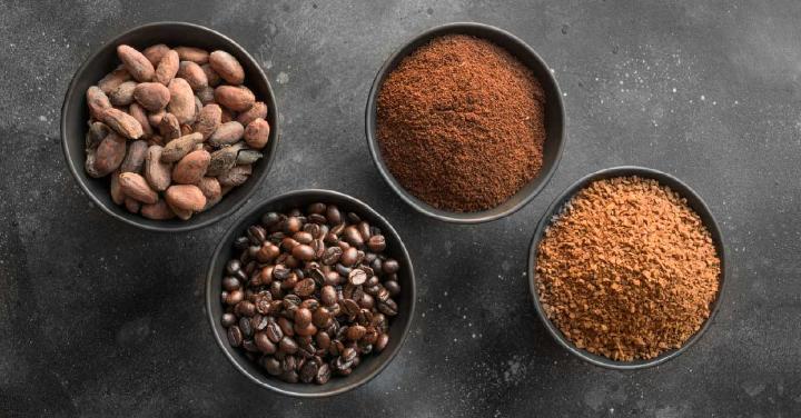 Four bowls on display consist of cacao beans, coffee beans, grounded coffee, and cocoa powder, a combination of cocoa in coffee brew.