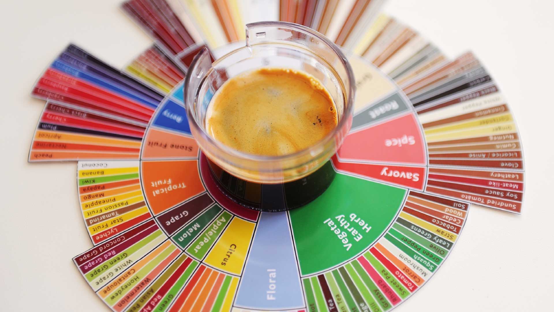 An image of a coffee flavor wheel showing different coffee taste notes and a cup of coffee in the middle.