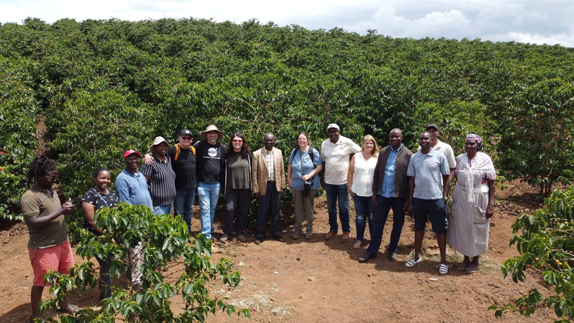 Kenya has two harvest season April - May and then September to January