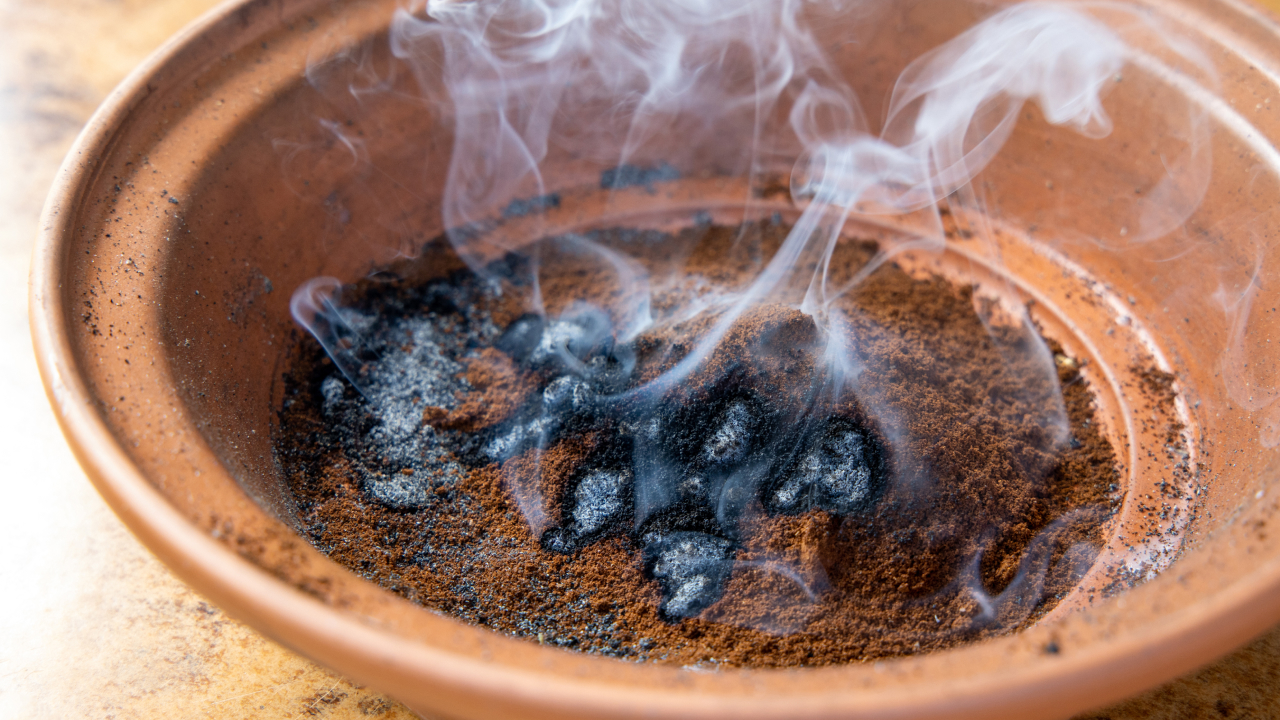 Smoke rises from coffee grounds burning in a brown bowl, serving as a natural repellent against mosquitoes and other insects.