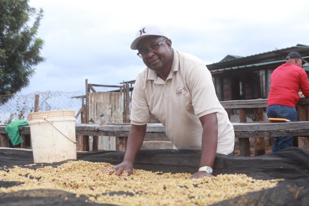 Lameck Omariba, co-founder of Solai Coffee, collaborates closely with local coffee farmers. He is shown overseeing the drying process of pulped coffee beans, ensuring high quality and sustainable practices.