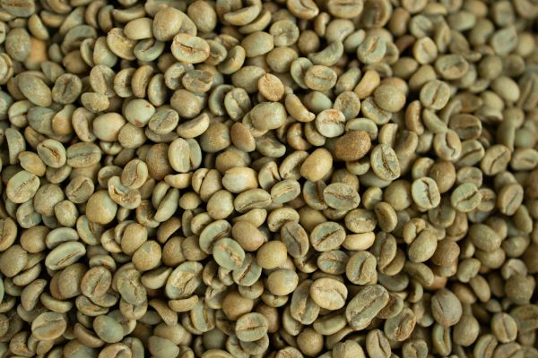 An image of green Arabica coffee beans that have been processed and are now waiting for roasting. 