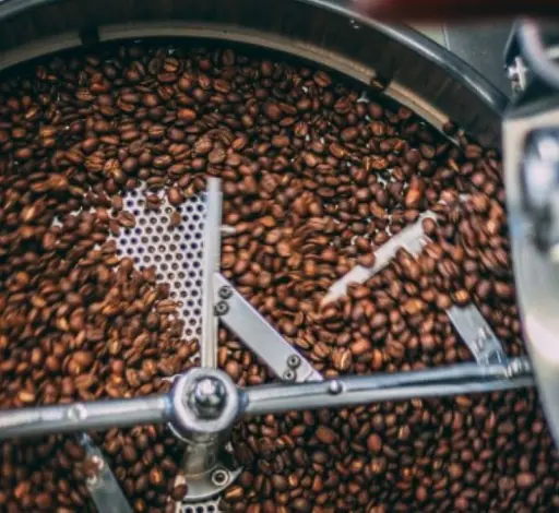 Roasting arabica beans This is an image of Arabica coffee beans undergoing the roasting process. The beans are inside a roasting drum, turning and changing from green to brown.