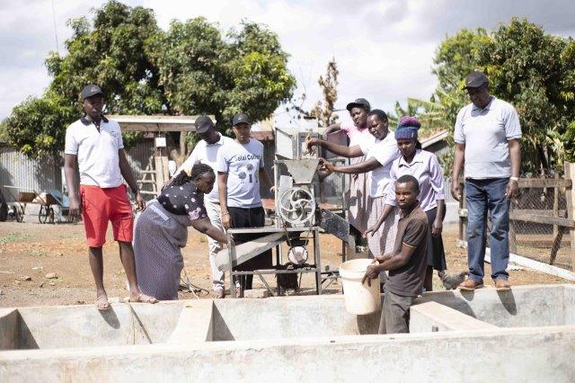 Solai Coffee producers work together in the coffee processing stage, emphasizing their advocacy for long-term relationships between farmers and consumers.