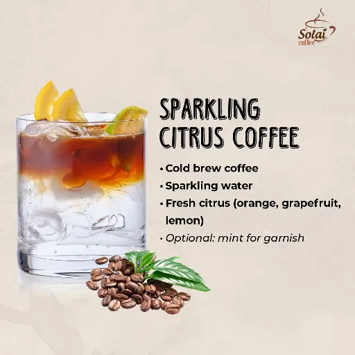 Sparkling Citrus Coffee A refreshing sparkling citrus coffee served over ice in a clear glass, with slices of orange and lemon floating inside.