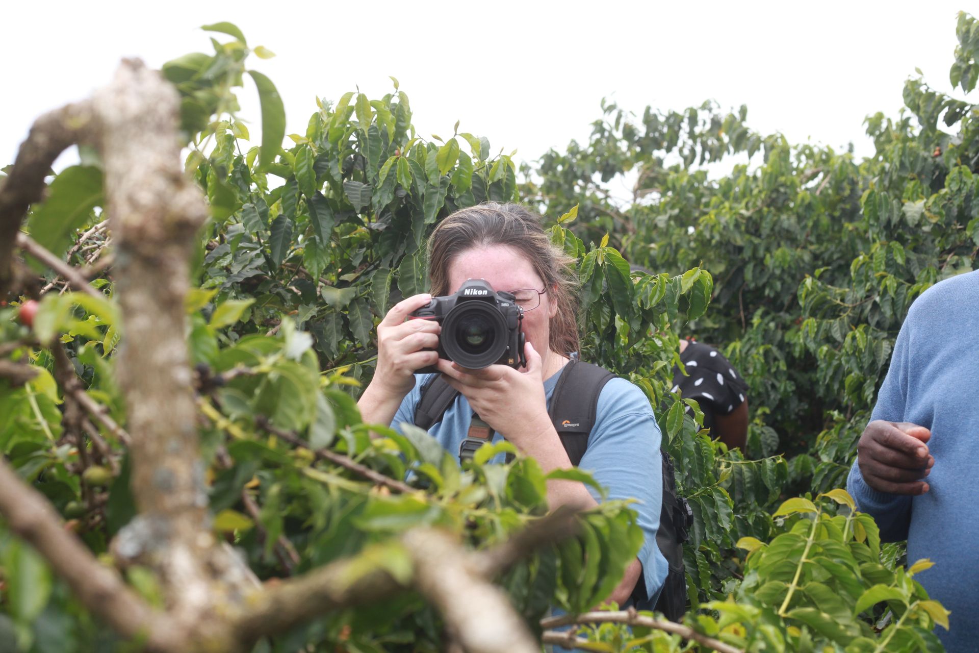 Kenya Specialty coffee farm story behind a camera lenses.