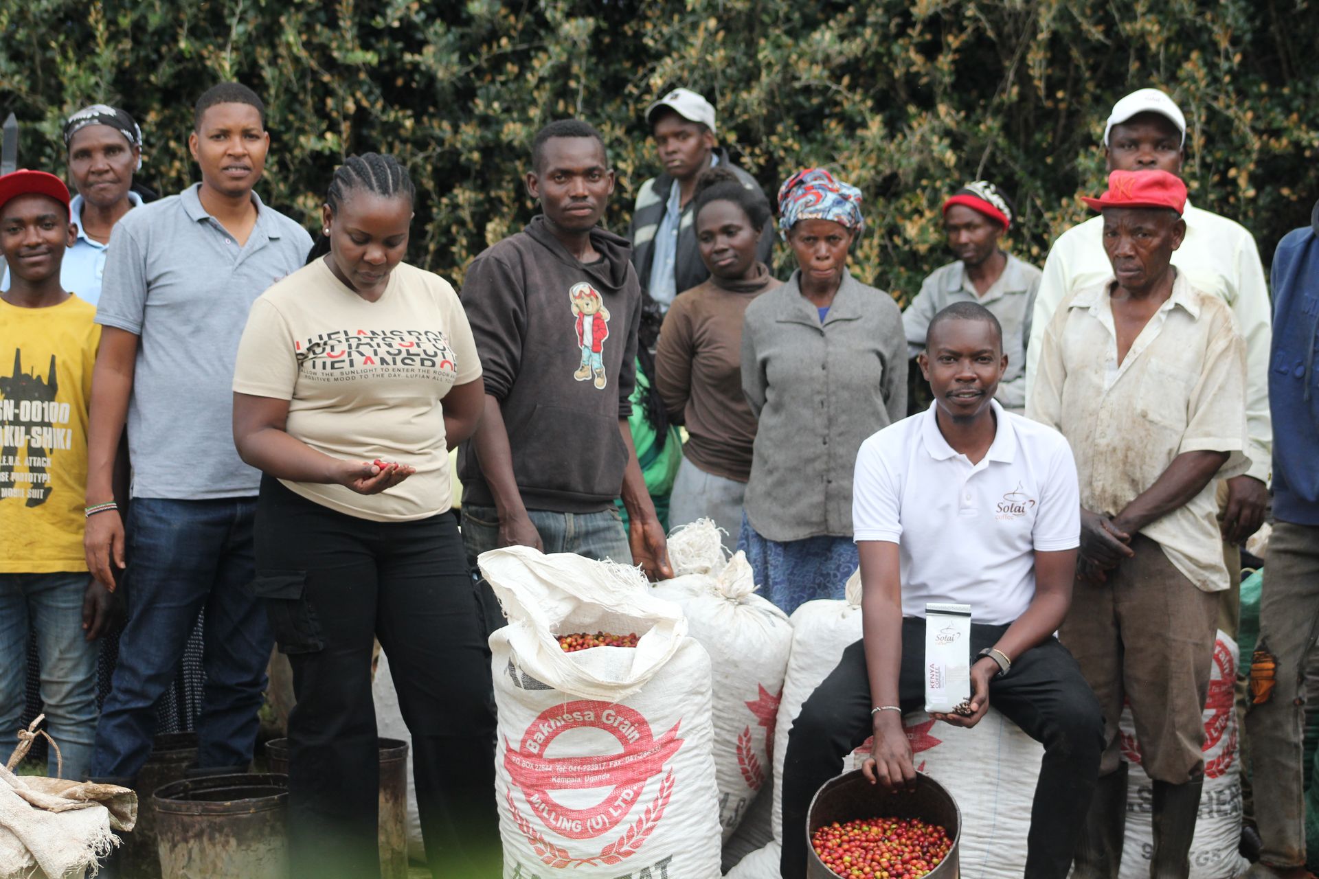 An image of the Solai Coffee team standing alongside farmers and workers at Liwani Coffee Estate, Kenya, celebrating a successful day of coffee cherry picking. 