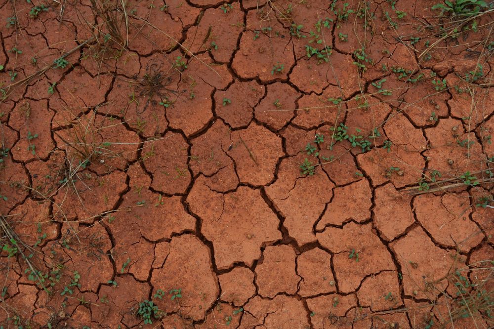 A stark image showing soil degraded into a barren desert, illustrating the transformation of once-fertile farmland into dry, cracked terrain due to unsustainable practices.