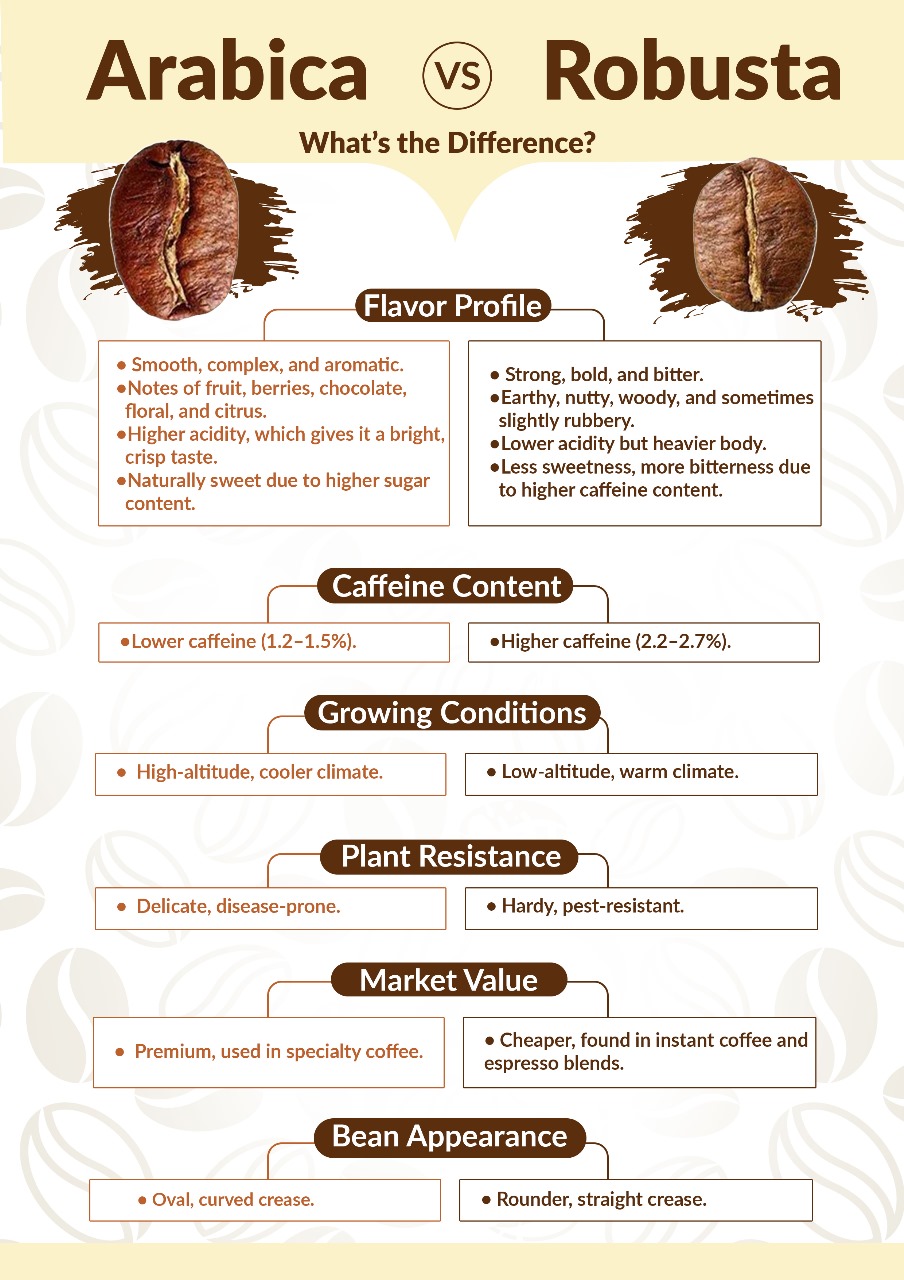 An infographic comparing Arabica and Robusta coffee, showcasing key differences in flavor, caffeine content, growing conditions, and market value.