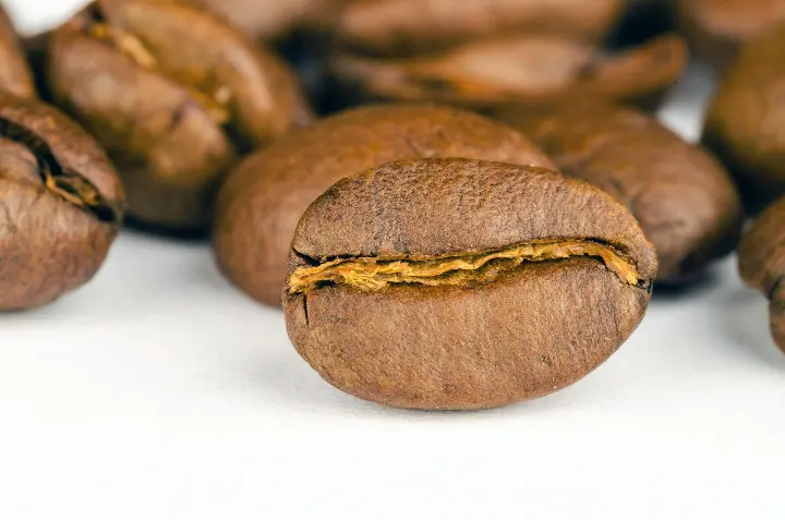 A detailed macro shot of high-quality Arabica coffee beans showcasing their rich texture and color.