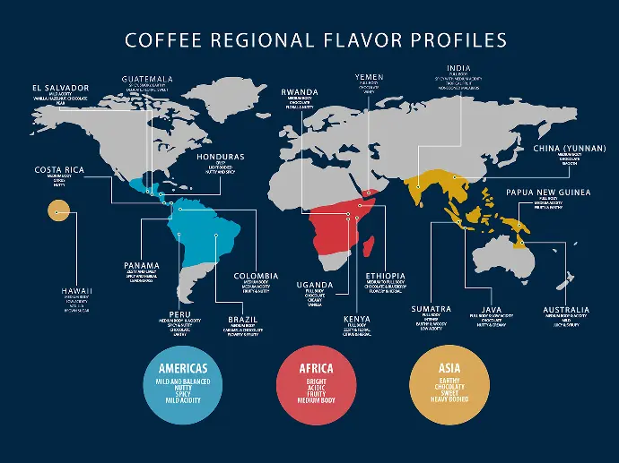 A map showing coffee growing regions also known as the bean belt. 