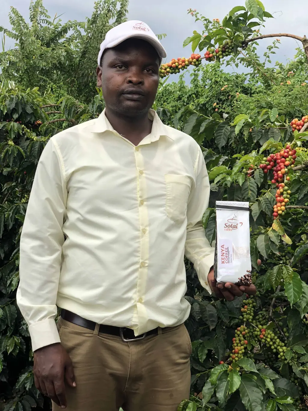 Farm-Direct Sourcing Producer standing among ripe coffee trees in Kenya holding a bag of Solai Coffee, illustrating farm-direct sourcing at origin.