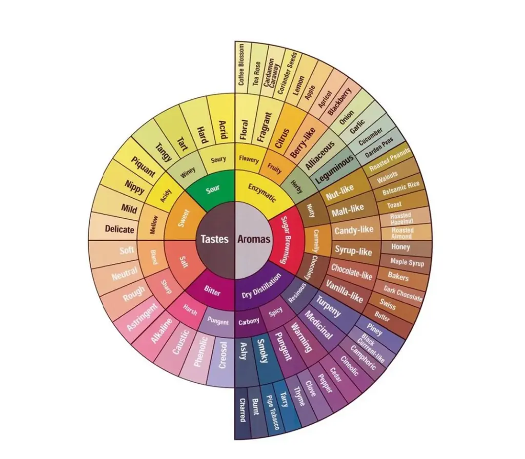 Coffee Flavor Wheel coffee flavor wheel used to understand coffee taste notes and aroma characteristics