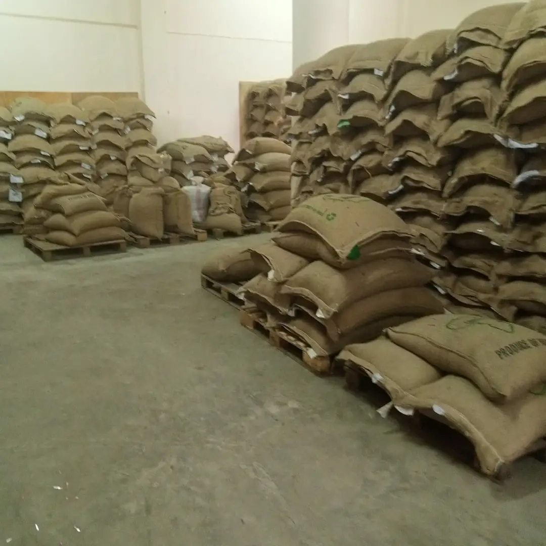 Green coffee stored in export warehouse before international shipment.