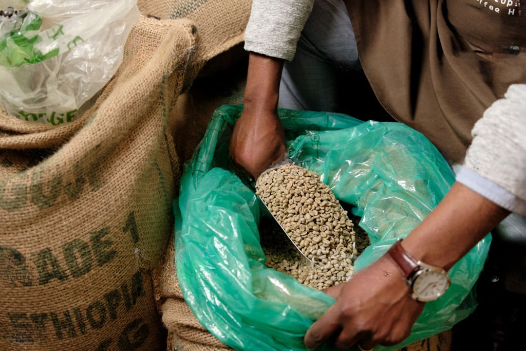 Green bean specialty coffee being weighed and packed for export.