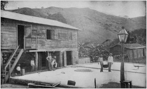 Drying coffee in the British era. The history of coffee is dated back to the colonial era and grown mainly as a cash crop.