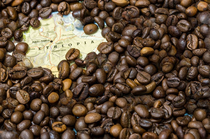 Ethiopian map surrounded by medium roasted coffee beans showing origin of coffee