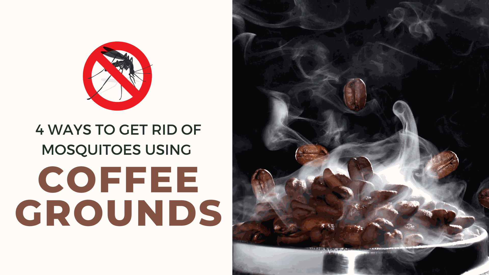 Can Coffee Grounds Keep Mosquitoes off?