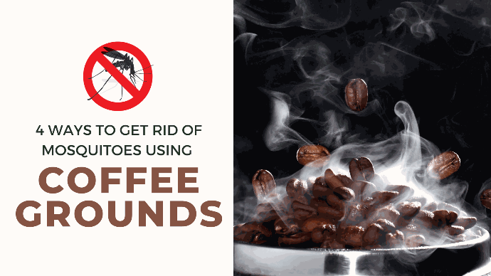 An image showing burning roasted coffee beans with smoke coming out to repel mosquitos