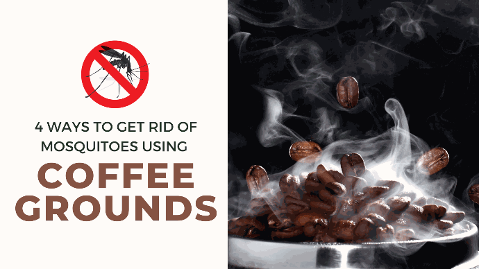 smoke coming from burning coffee beans An image showing burning roasted coffee beans with smoke coming out to repel mosquitos