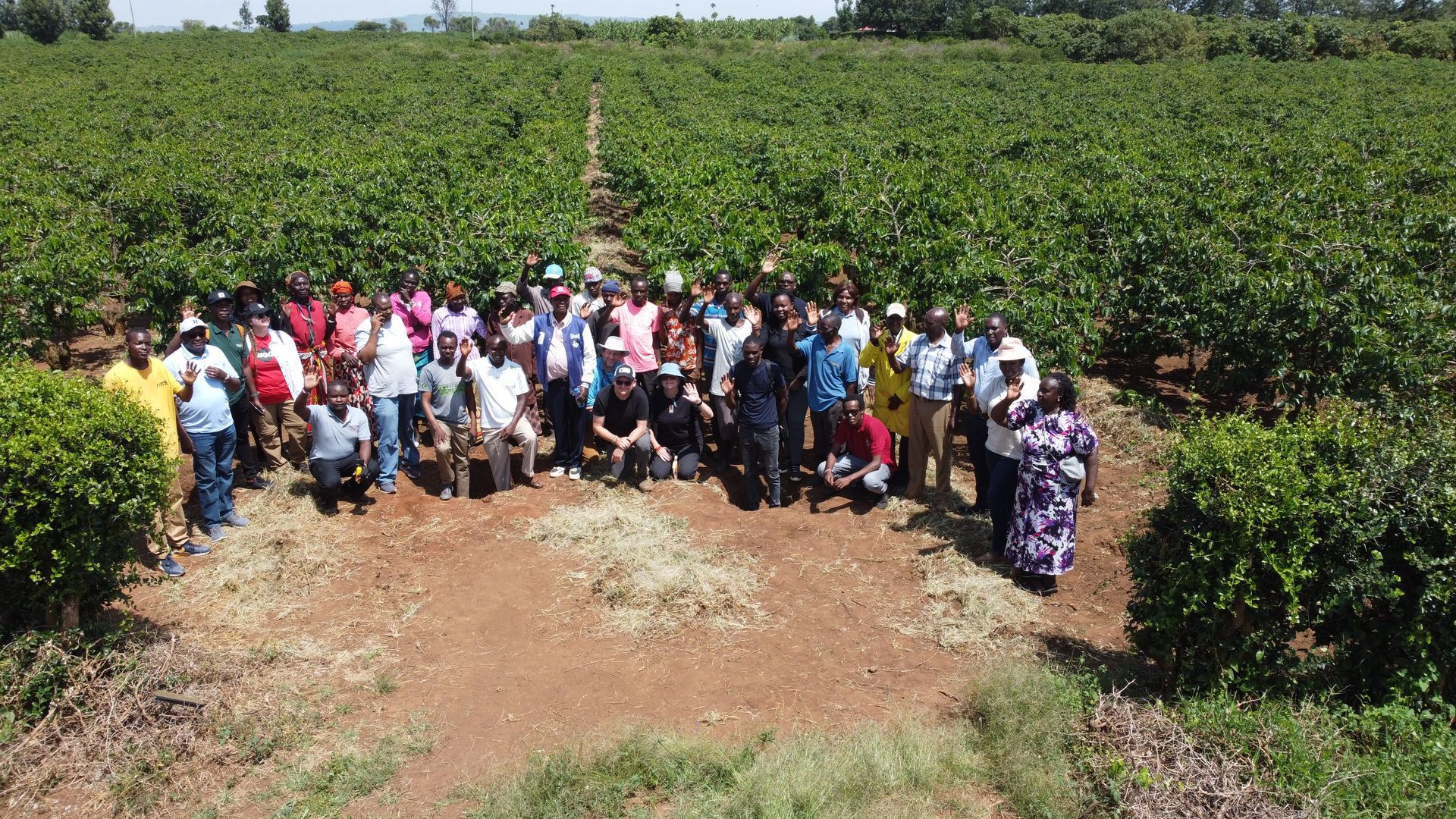 An image showing the Solai coffee team, Visitors from One bigg Island in Space, and farmers posing for a picture at Liwani Coffee Farm
