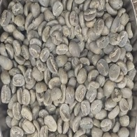 Kenya Green Beans AB