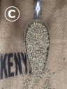 Kenya Green Beans C